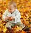 Cadeaubon - Herfst